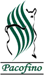 Pacofino Logo