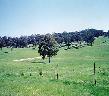 Farm 2