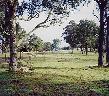 Farm 4