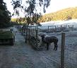 Farm View 2