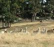 Farm View 3
